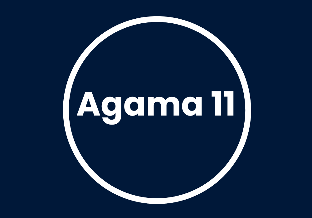 Smarter Video Analytics and Easier Operations with Agama 11